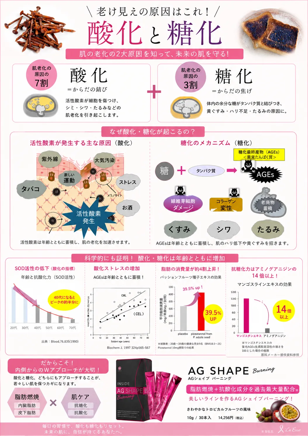 【肌老化の2大原因 “酸化” と “糖化”】